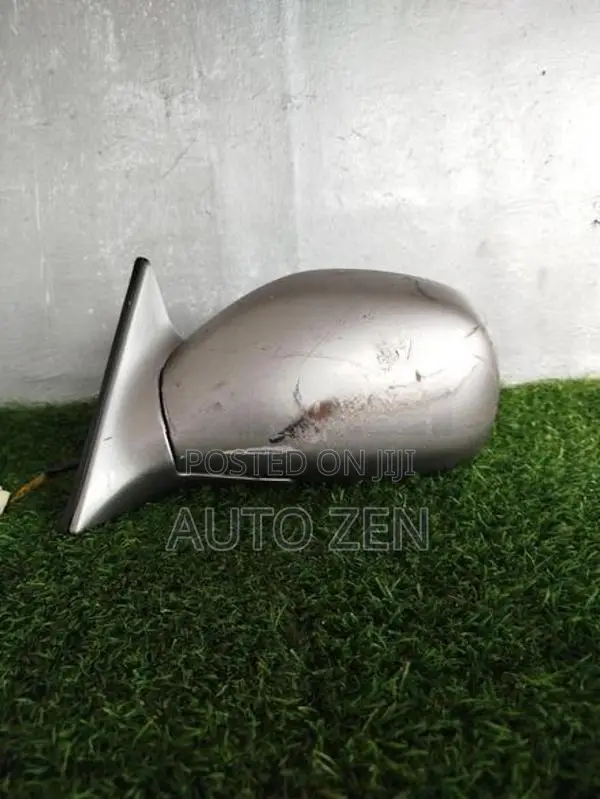 BIG HORN SIDE MIRROR