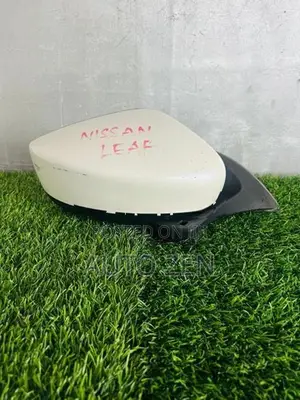 LEAF ZE1 SIDE MIRROR
