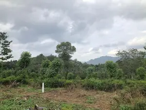 Land for Sale in Pilimathalawa