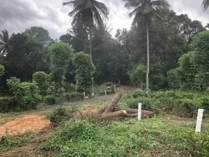 Land for Sale in Pilimathalawa