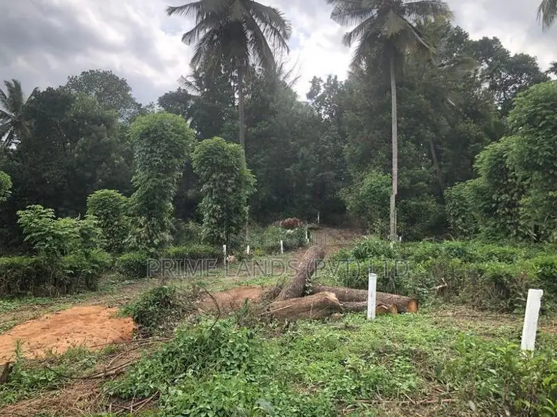 Land for Sale in Pilimathalawa