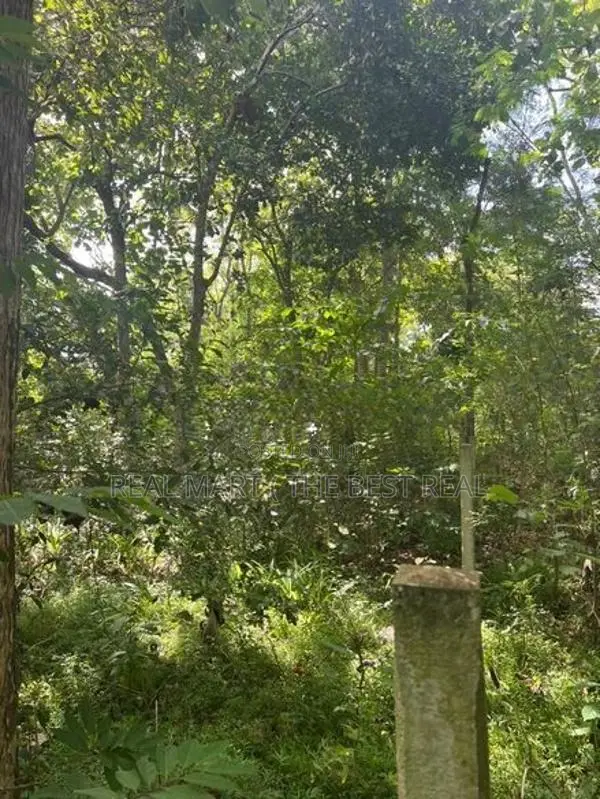 Mahawa : 80 perches Land for Sale at Nagollagama road