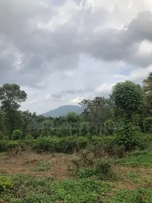 Land for Sale in Pilimathalawa