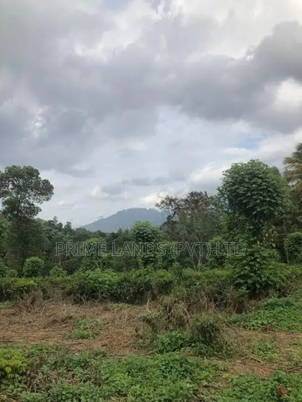 Land for Sale in Pilimathalawa