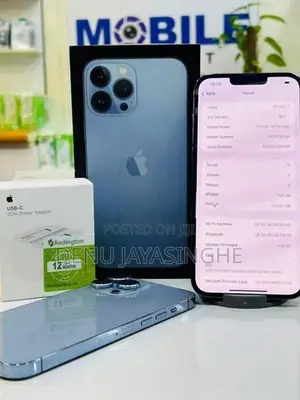 Apple iPhone 13 Pro Max 5G 128GB (Used)