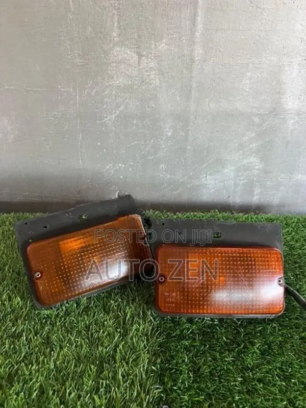 Truck signal light rear