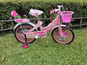 KIDS BICYCLE SIZE 20(BRAND NEW)