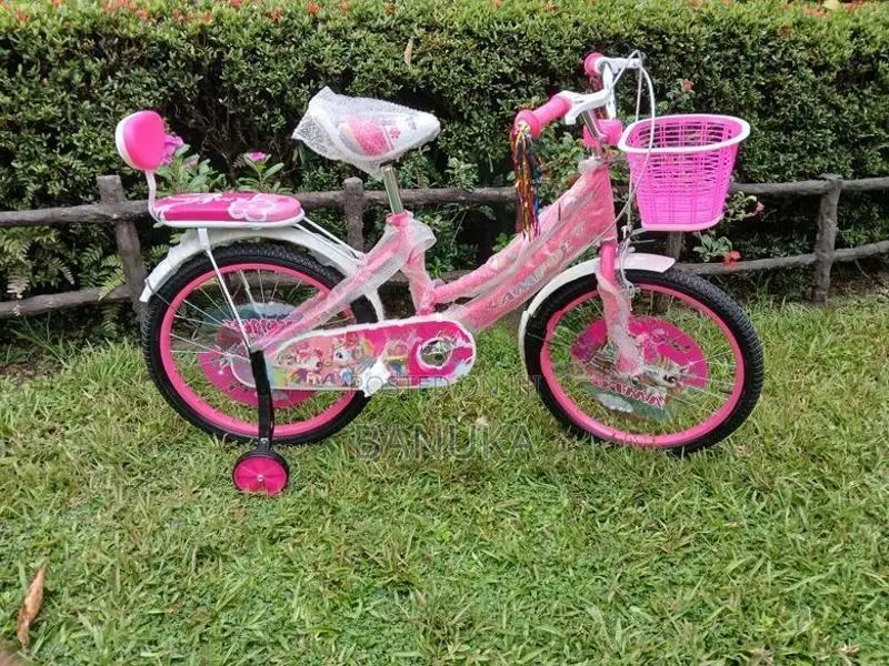 KIDS BICYCLE SIZE 20(BRAND NEW)