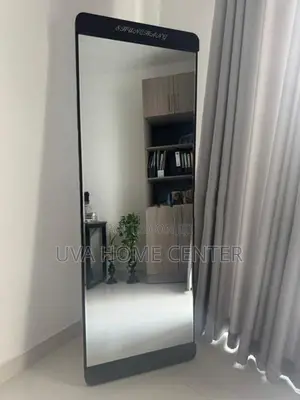 Wall Hanging Mirror With Stand 66x19Inch