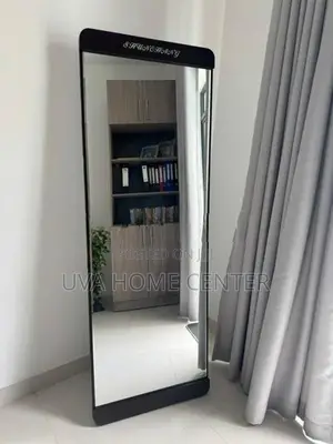 Wall Hanging Mirror With Stand 66x19Inch