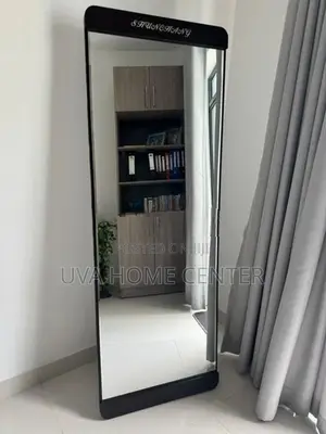 Wall Hanging Mirror With Stand 66x19Inch