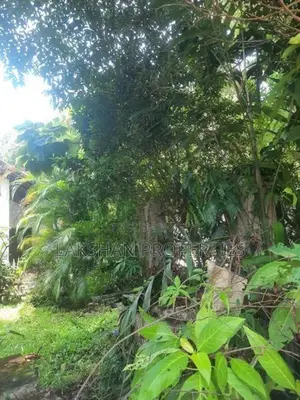 Land For Sale In Raththanapitiya