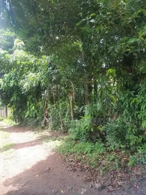 Land For Sale In Raththanapitiya