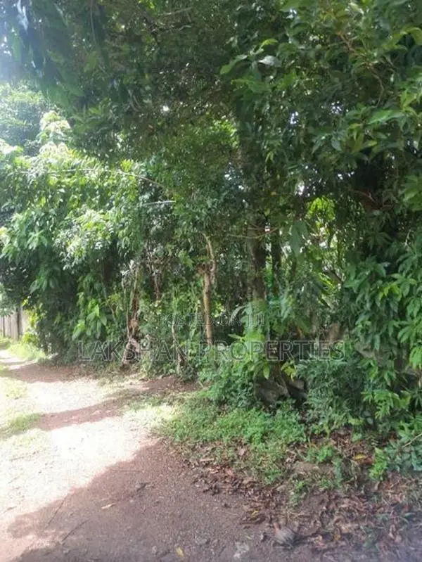 Land For Sale In Raththanapitiya