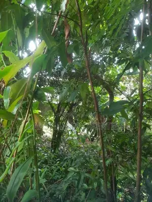 Land For Sale In Raththanapitiya
