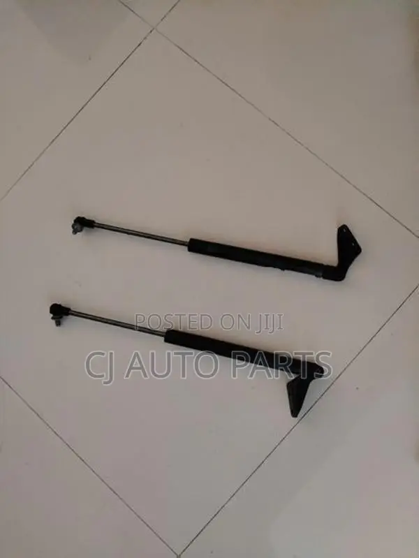Nissan Tiida Hatchback Dicky Door Shocks