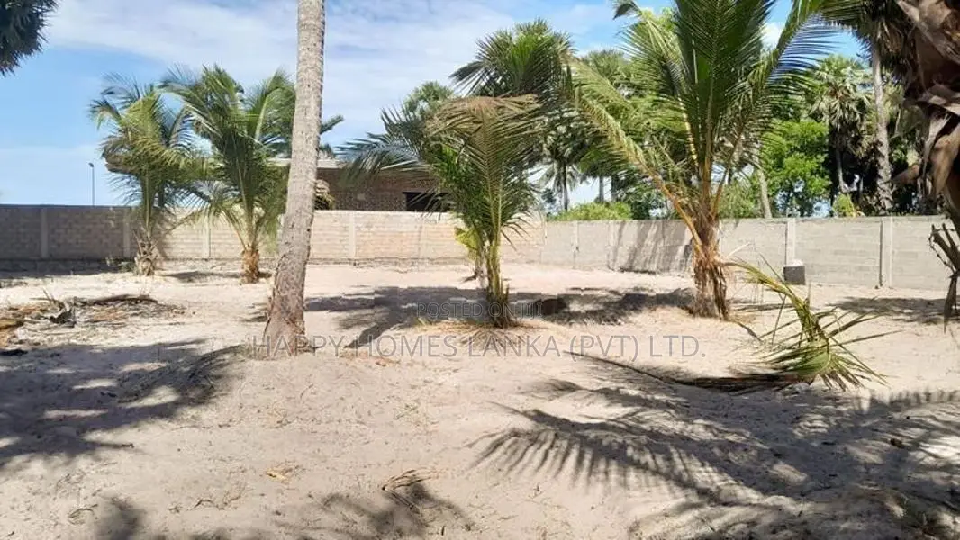 HHL1014 - Land for Sale in Thannamunai
