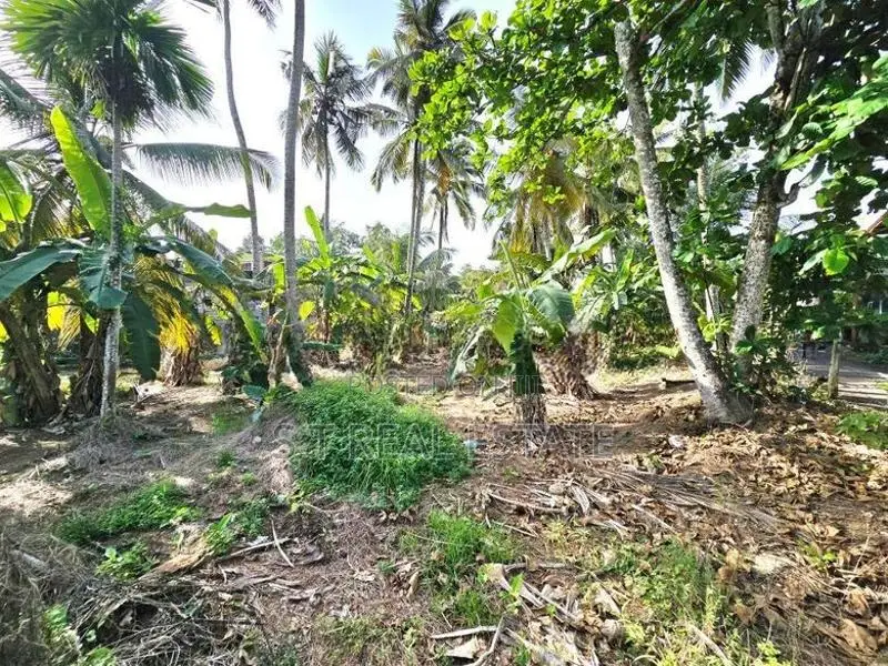 20P Bare Land For Sale In Kahathuduwa