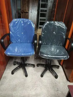 Low Back Office Chair ECL001