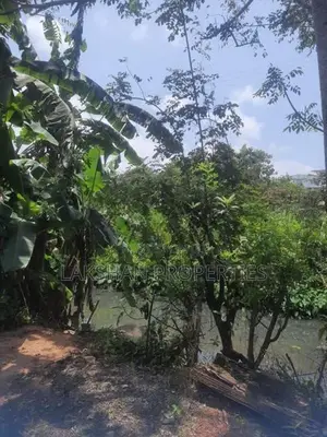 Land For Sale In බෙල්ලන්විල