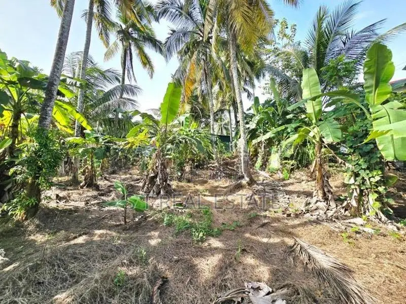 20P Bare Land For Sale In Kahathuduwa