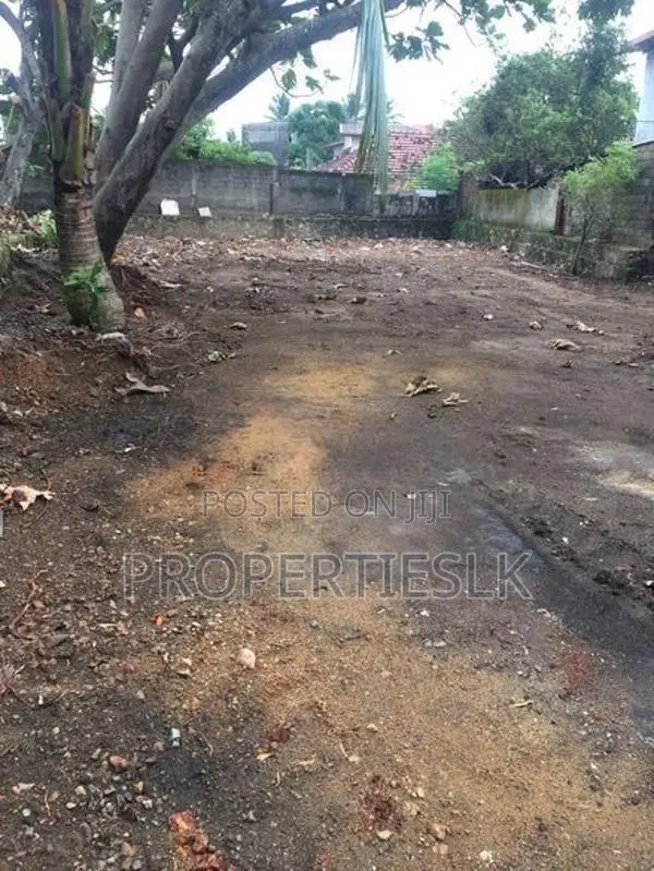 Dehiwala Prime Location 20p Land For Sale