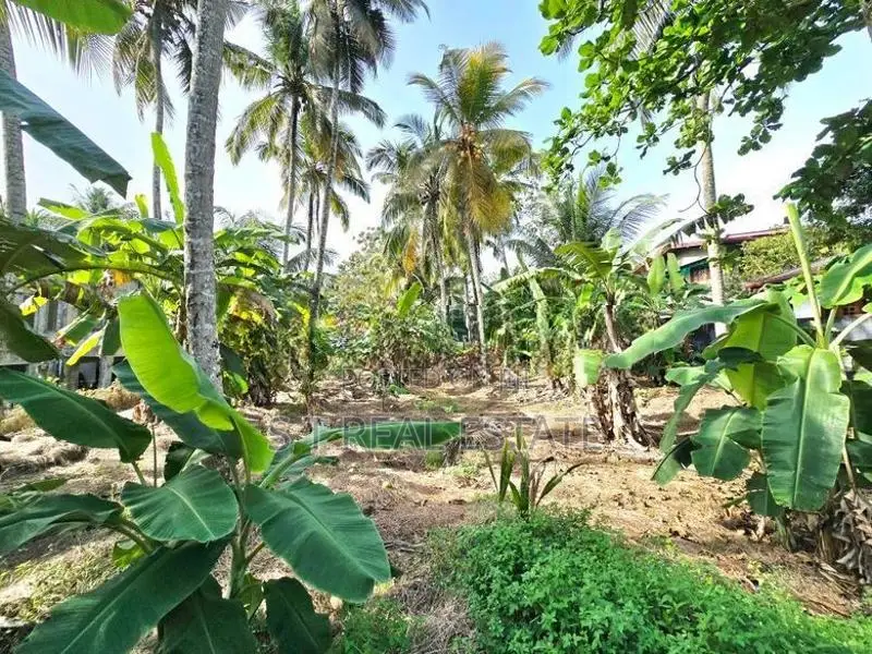 20P Bare Land For Sale In Kahathuduwa