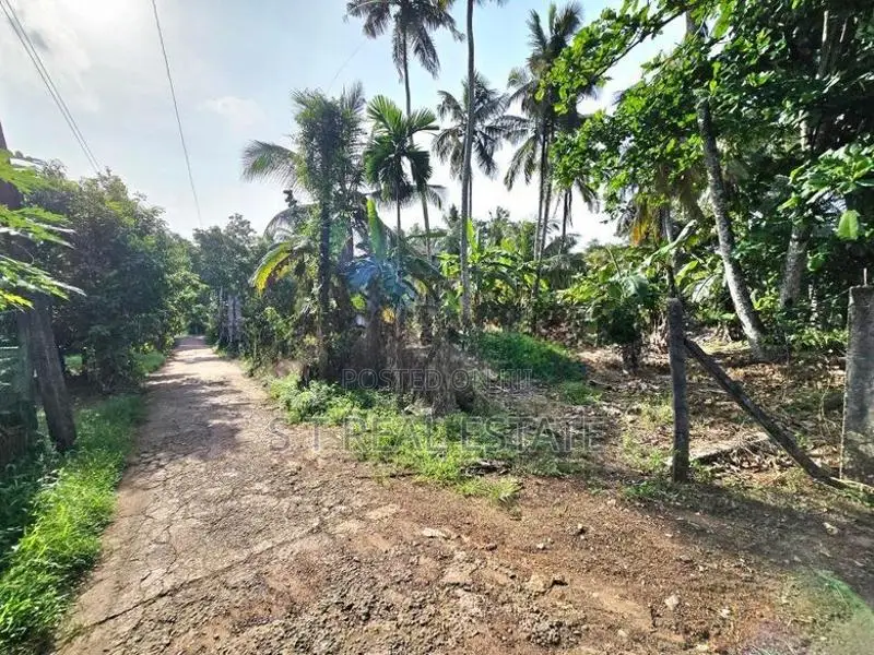 20P Bare Land For Sale In Kahathuduwa