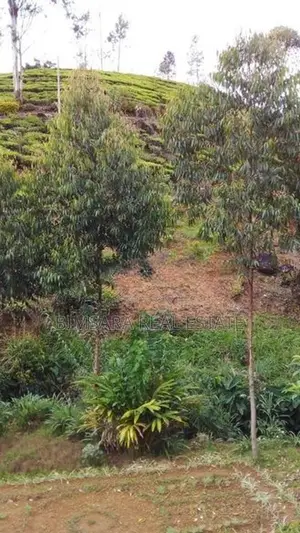 Luxury Leisure Retreat with High Income Potential in Lindula | SH 1525