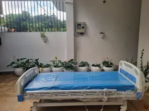 Patient Four Function Electric Hospital Beds