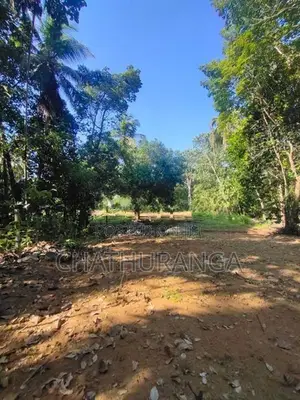 Land for Sale Kadawatha (මීටර් 500)