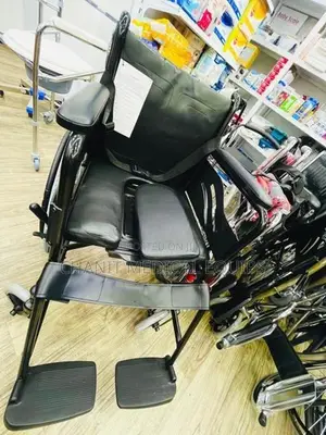 Commode Wheelchair Powder Corted Black Edition With Safety Belt