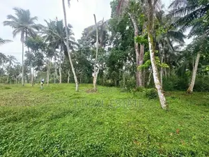 40P Prime Land For Sale In Bandaragama