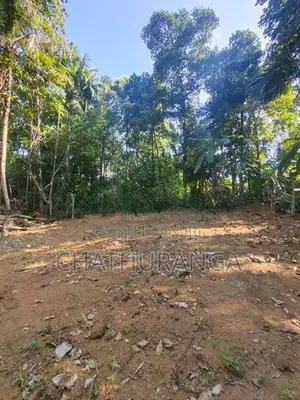 Land for Sale Kadawatha (මීටර් 500)