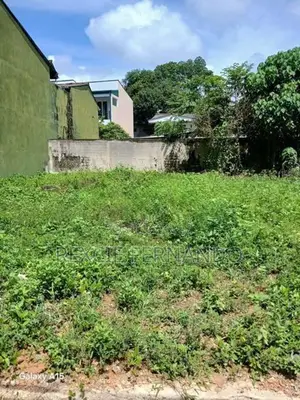 Bare Land Pita Kotte