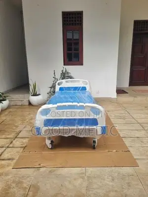 Patient Four Function Electric Hospital Beds