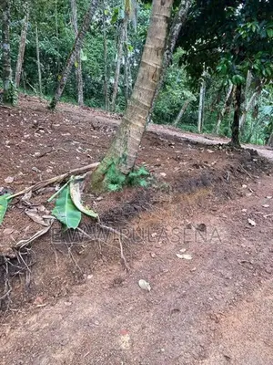 48.5 PERCH LAND for SALE in SEEDUWA