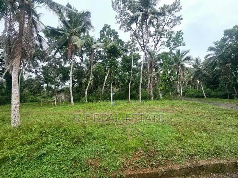 40P Prime Land For Sale In Bandaragama
