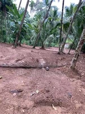 48.5 PERCH LAND for SALE in SEEDUWA