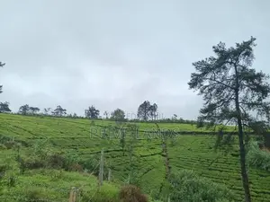 Land for sale Nuwara Eliya