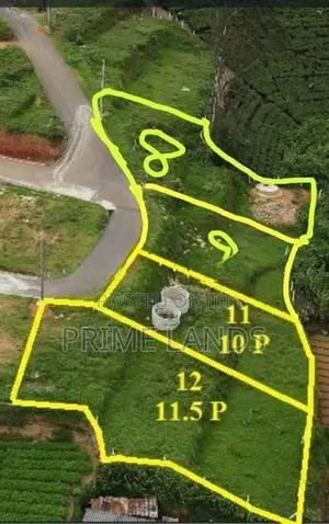 Valuable land for sale Nuwara Eliya