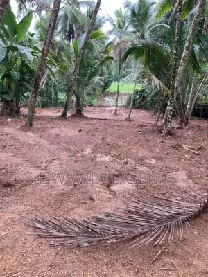 48.5 PERCH LAND for SALE in SEEDUWA