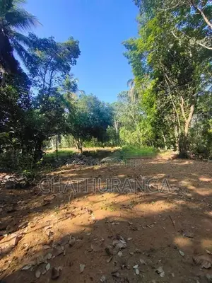 Land for Sale Kadawatha (මීටර් 500)