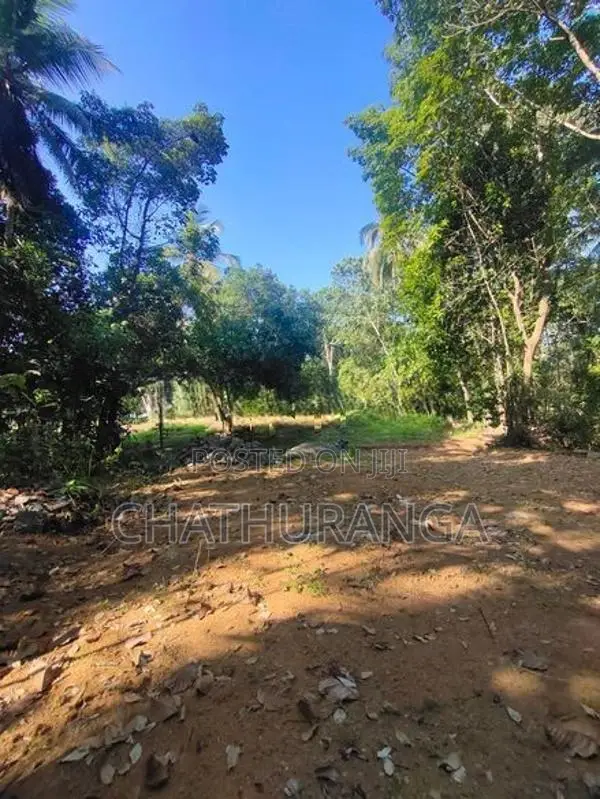 Land for Sale Kadawatha (මීටර් 500)