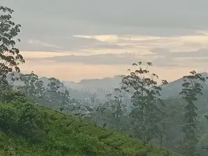 Land for Sale Pussellawa