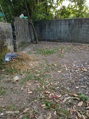 Bare Land Boralesgamuwa