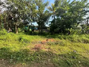 Land for Sale in Colombo 05