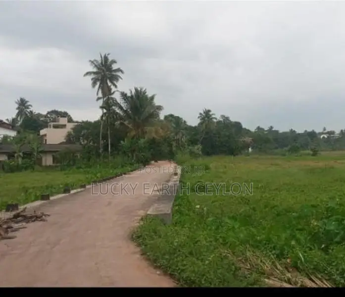 Land for Sale in Kottawa (NZMS3022)