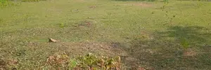Nugegoda Town : 57 perches Commercial Land for Sale