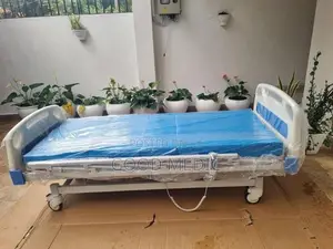 Patient Four Function Electric Hospital Bed